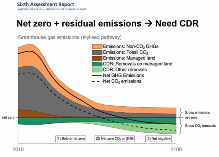 Linking Carbon Removals to the EU ETS – and a net negative emissions ...