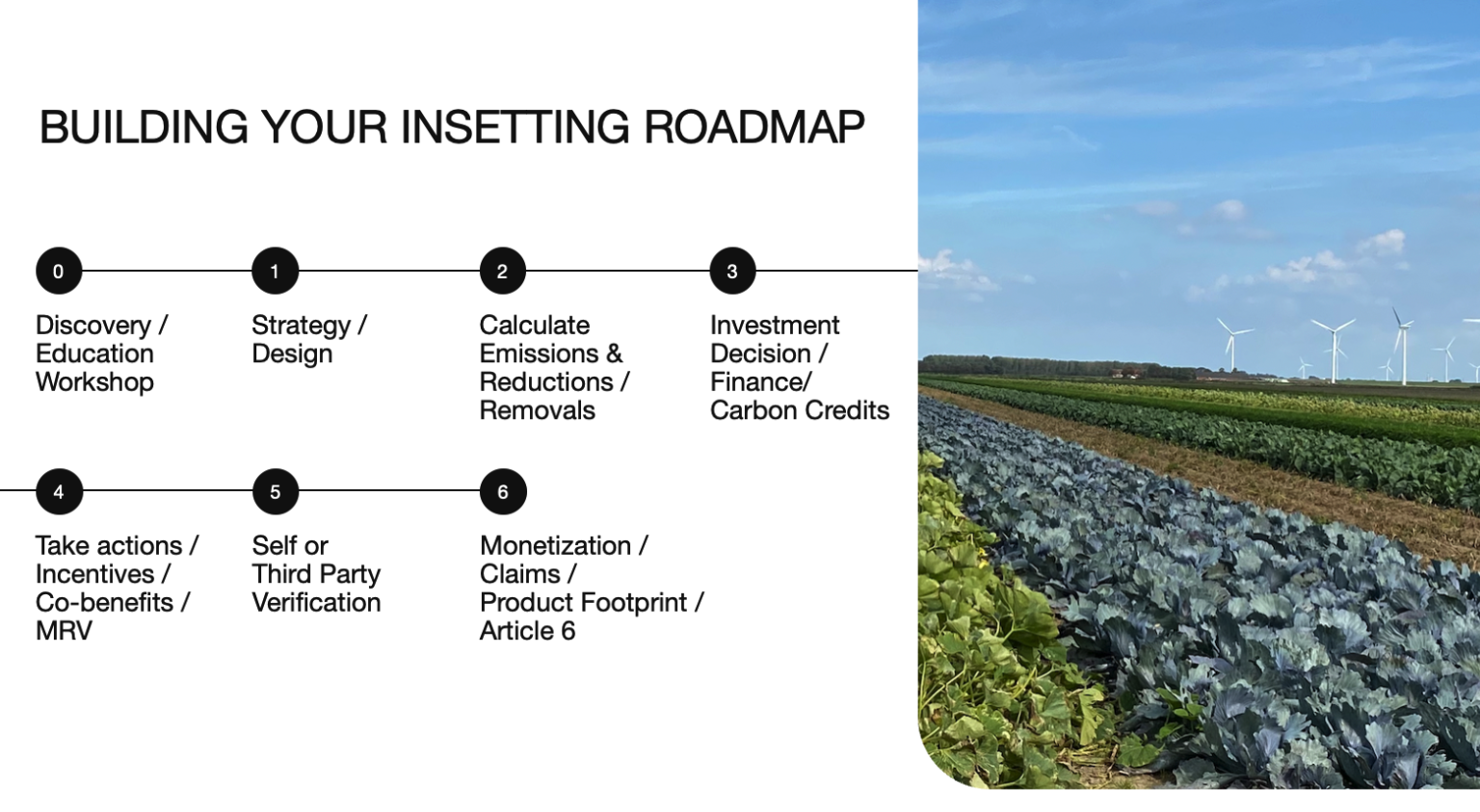 Insetting: make climate impact in your supply chain and help meet ...